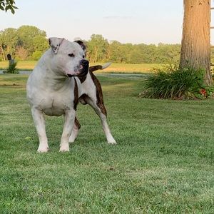 Meet your Posher, Zach
